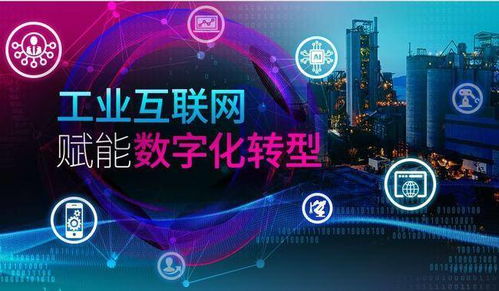 數(shù)字化轉(zhuǎn)型 企業(yè)高質(zhì)量發(fā)展的新引擎——以批零軟件與數(shù)字文化創(chuàng)意軟件開(kāi)發(fā)為例